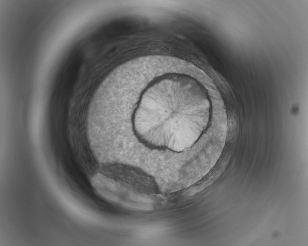 X0000116550765201001211201