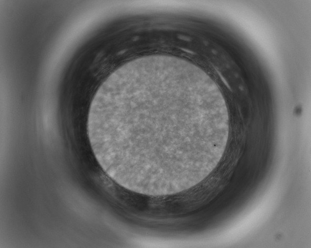 X0000116550766201001211201