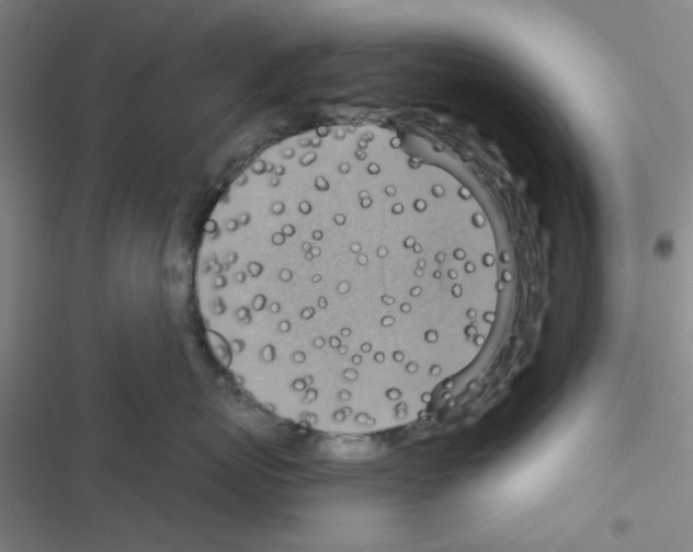 X0000116550767201001211202