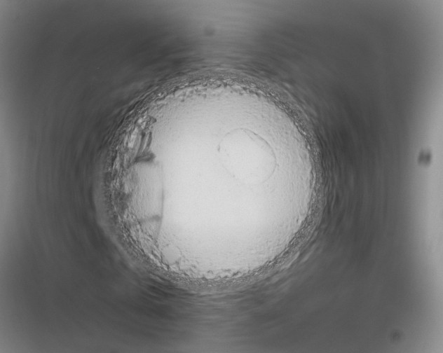 X0000116550769201001211201