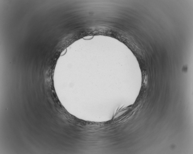 X0000116550771201001211201