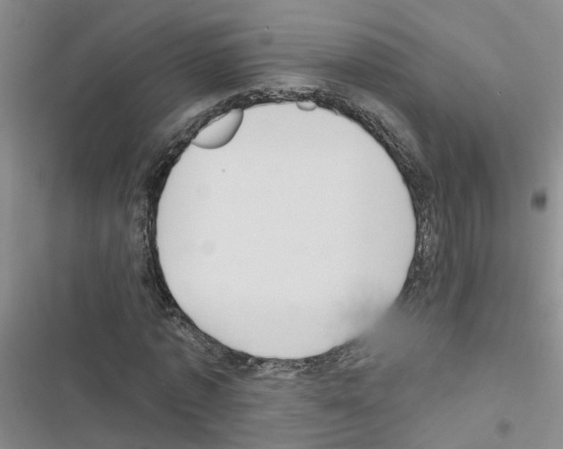 X0000116550773201001211201