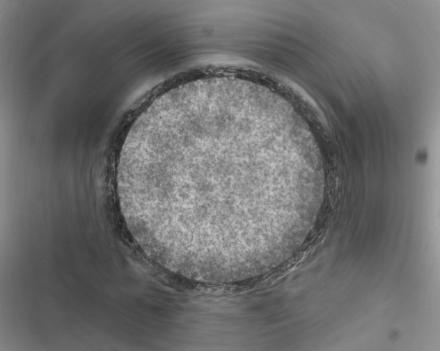 X0000116550775201001211201