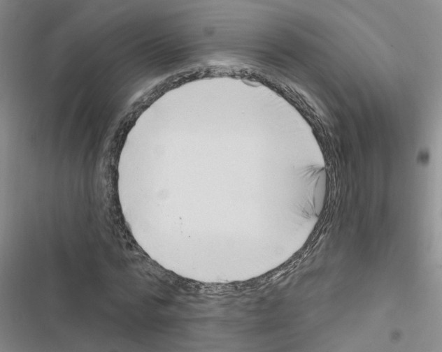 X0000116550776201001211201