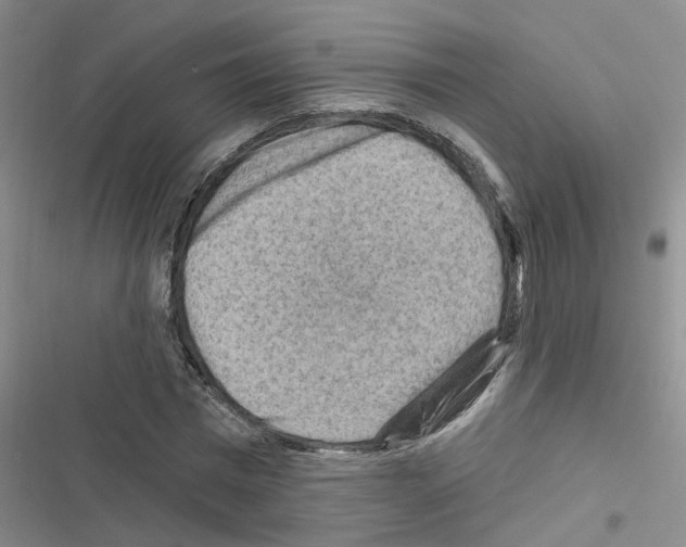 X0000116550777201001211201