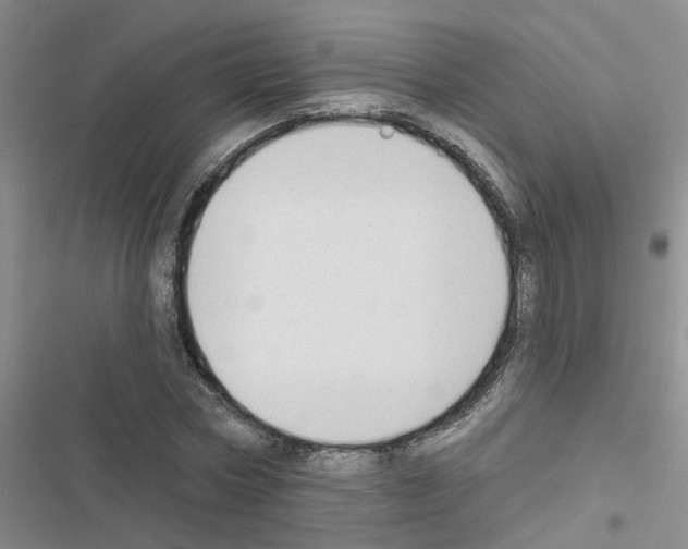 X0000116550778201001211201