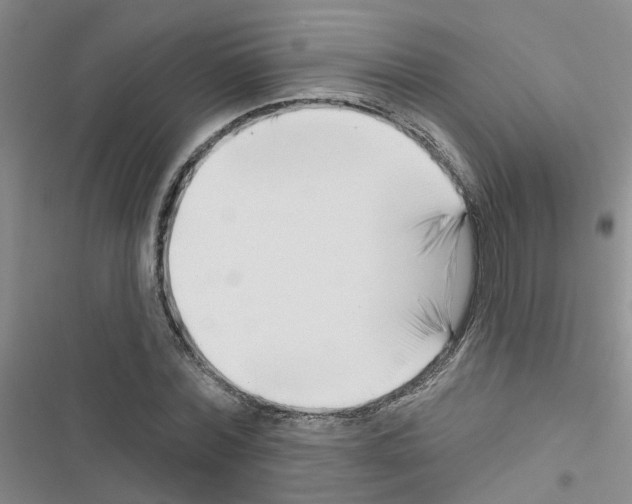 X0000116550780201001211201