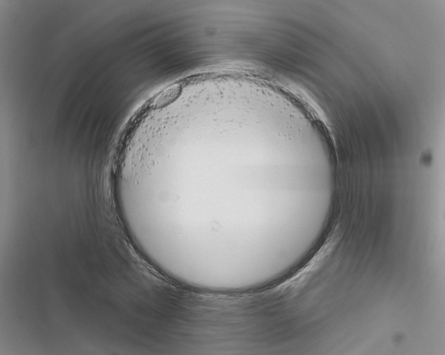 X0000116550781201001211201