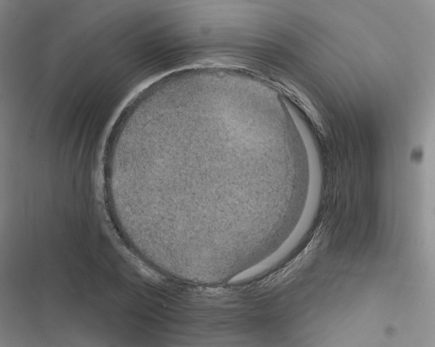 X0000116550784201001211201