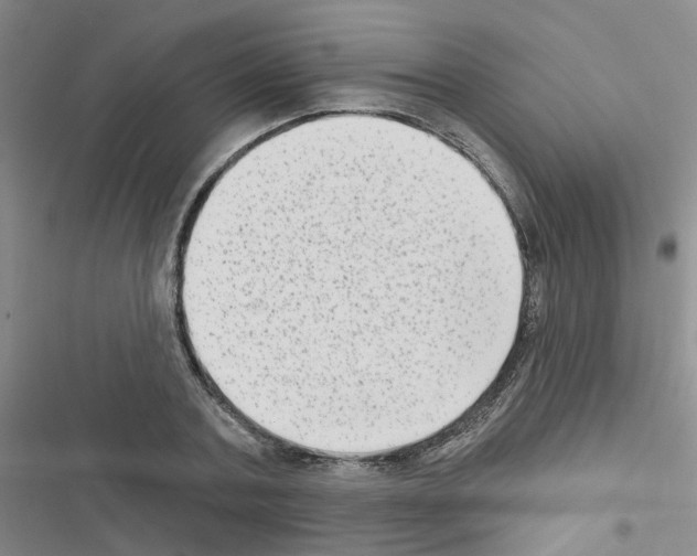 X0000116550787201001211201