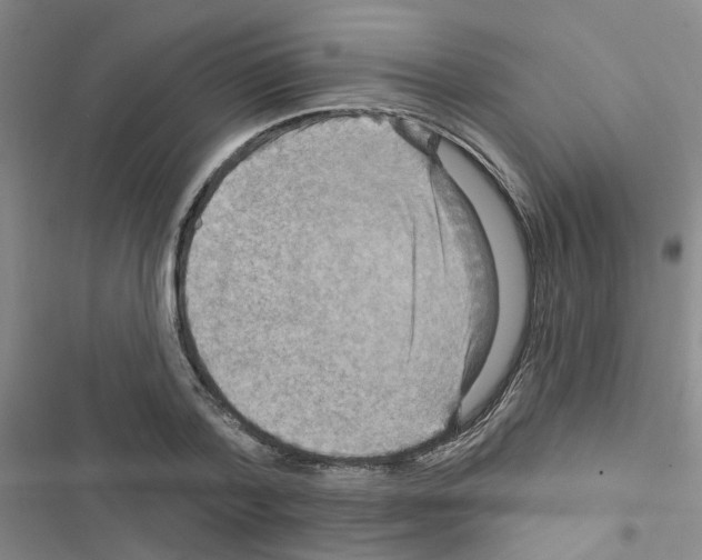 X0000116550788201001211201