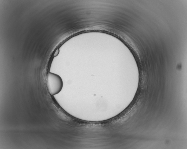 X0000116550789201001211201