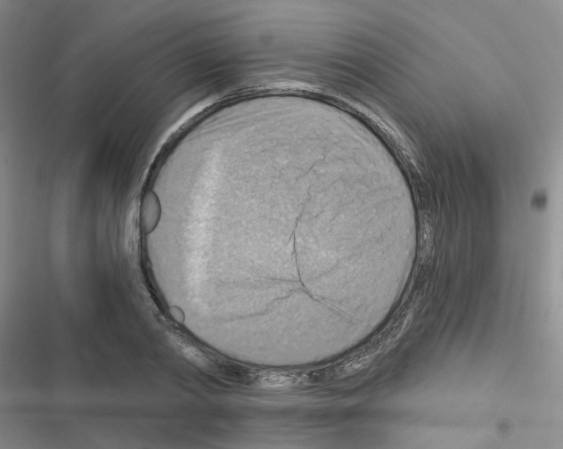 X0000116550790201001211201