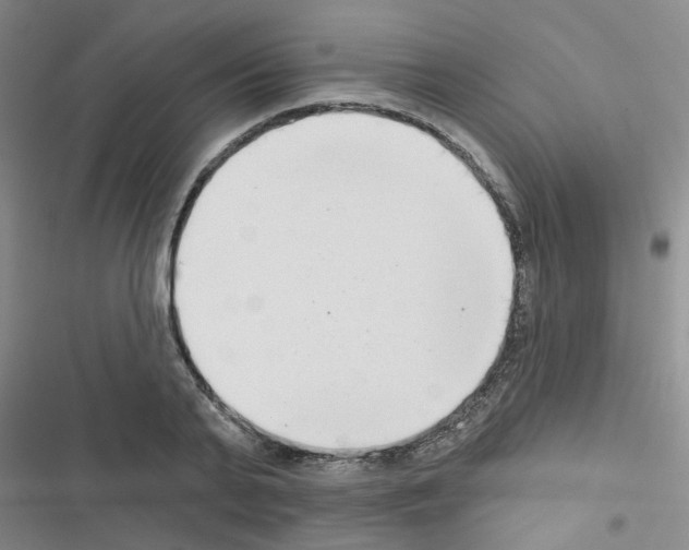 X0000116550791201001211201