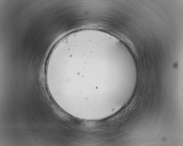 X0000116550792201001211201