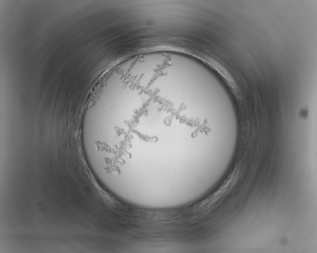 X0000116550793201001211201