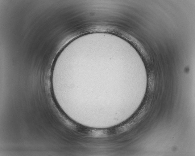 X0000116550794201001211201