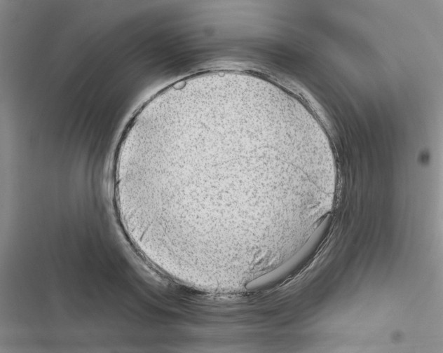 X0000116550795201001211201