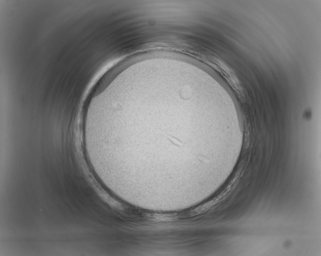 X0000116550796201001211201