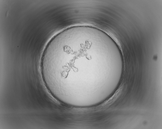 X0000116550797201001211200