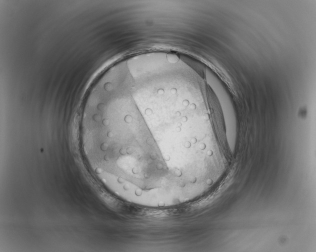 X0000116550798201001211200