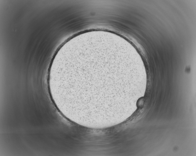 X0000116550799201001211200