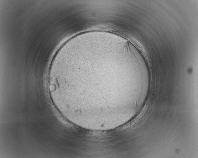 X0000116550800201001211200