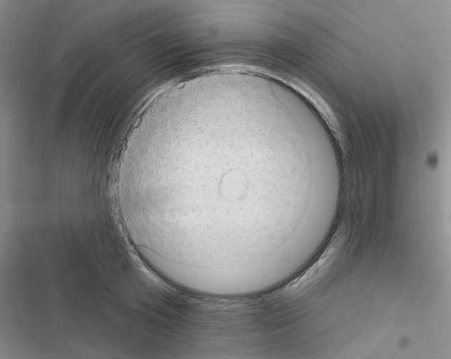 X0000116550801201001211200