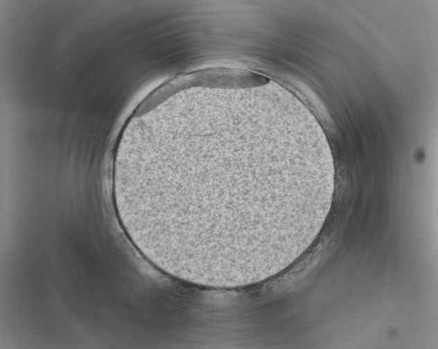 X0000116550804201001211200