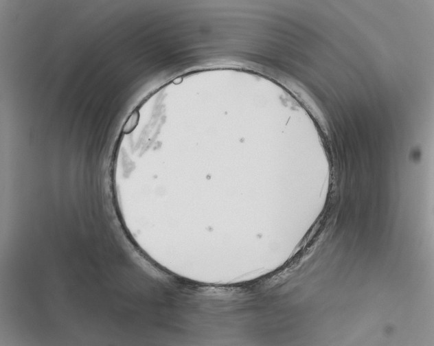 X0000116550805201001211200