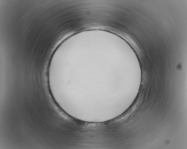 X0000116550806201001211200