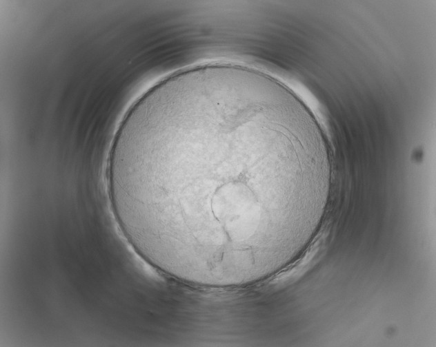 X0000116550807201001211200