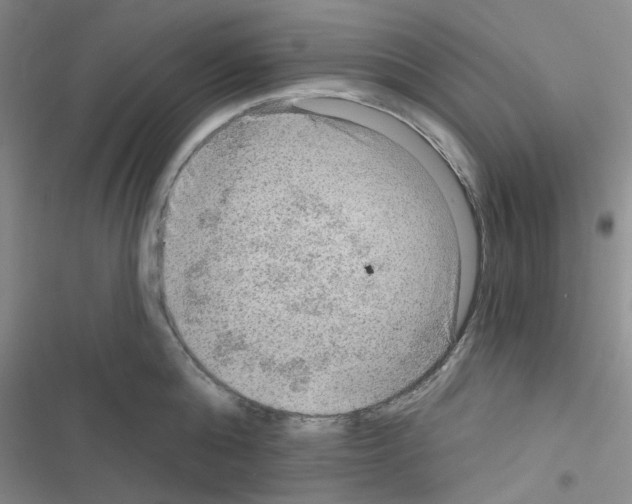 X0000116550808201001211200