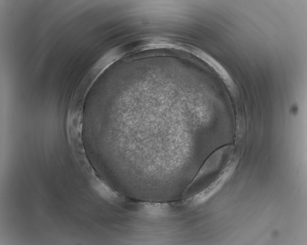 X0000116550809201001211200