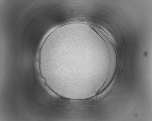 X0000116550812201001211200