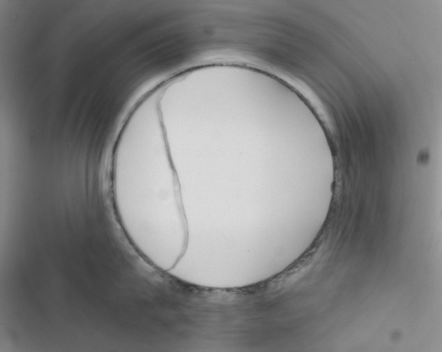 X0000116550815201001211200