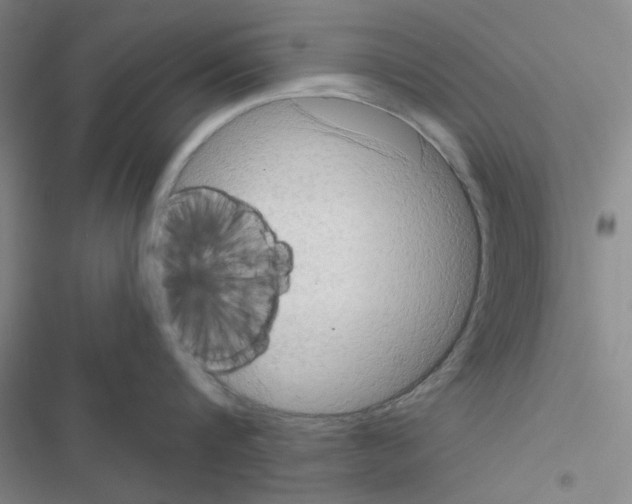 X0000116550816201001211200