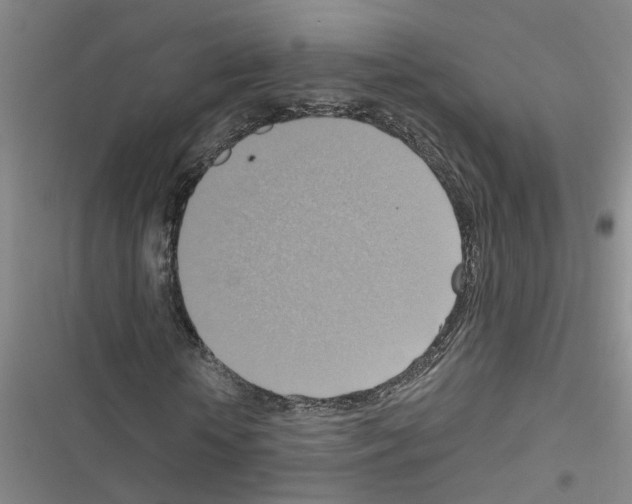 X0000116550818201001211200