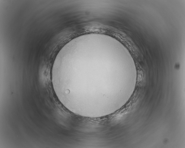 X0000116550820201001211200