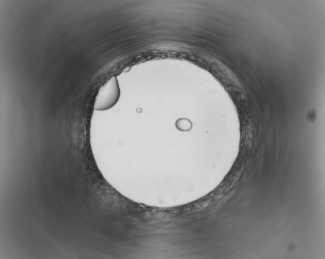 X0000116550821201001211200