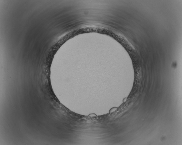 X0000116550822201001211200