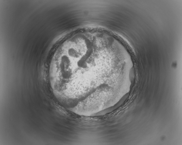 X0000116550823201001211200