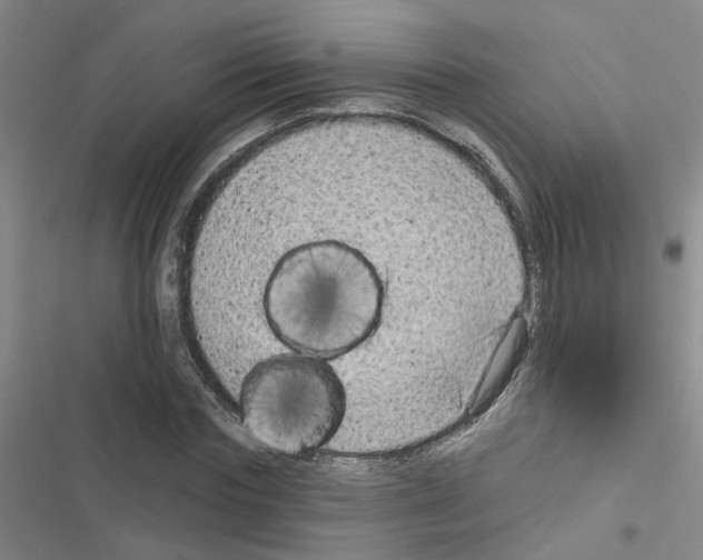 X0000116550827201001211200