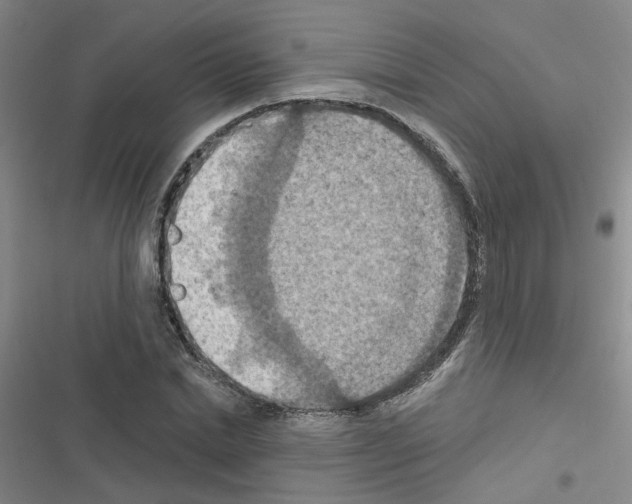 X0000116550830201001211200