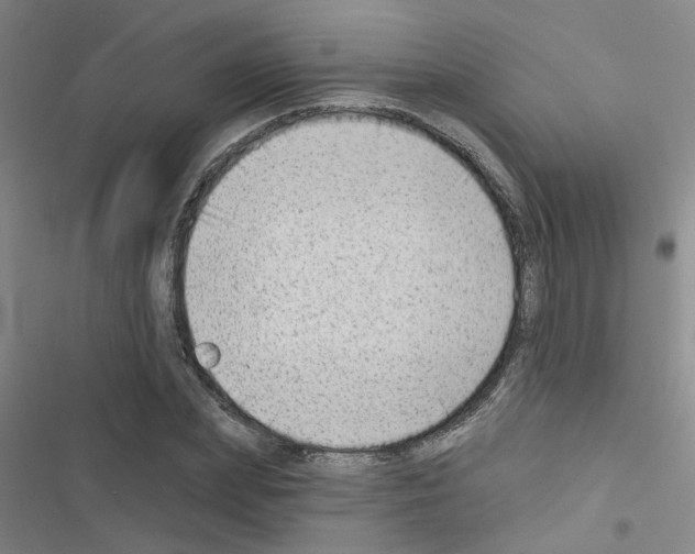 X0000116550831201001211200