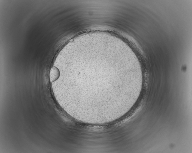 X0000116550833201001211200