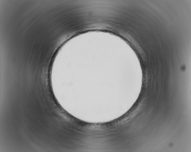 X0000116550834201001211200