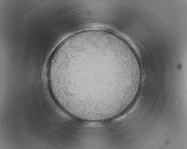 X0000116550835201001211200