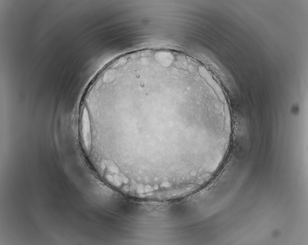 X0000116550836201001211200