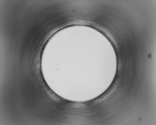 X0000116550837201001211200